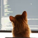 Joon Pet Game for PC: 7 Proven Reasons This Virtual Pet Game Is Still Amazing in 2024