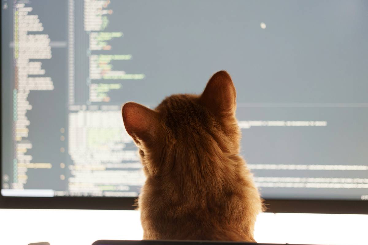 Joon Pet Game for PC: 7 Proven Reasons This Virtual Pet Game Is Still Amazing in 2024